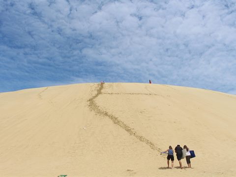 Camel Experience